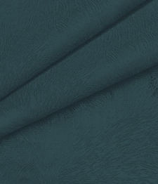IMAGE_T