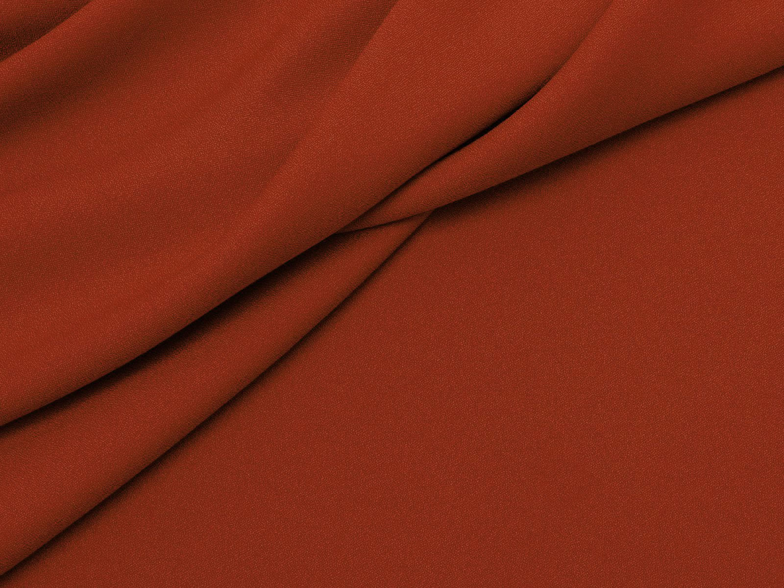 IMAGE_L