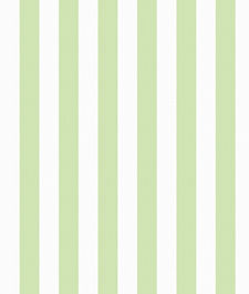 IMAGE_T