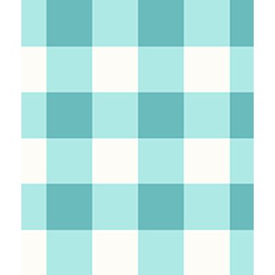 IMAGE_T