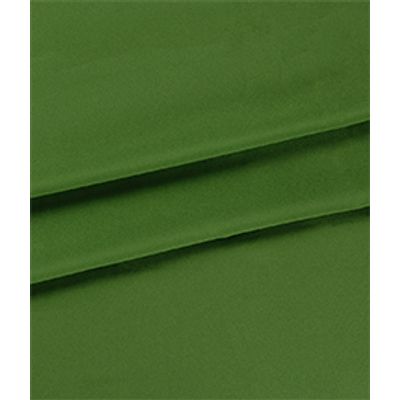 IMAGE_T