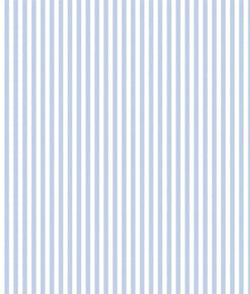IMAGE_T