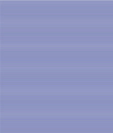 IMAGE_T