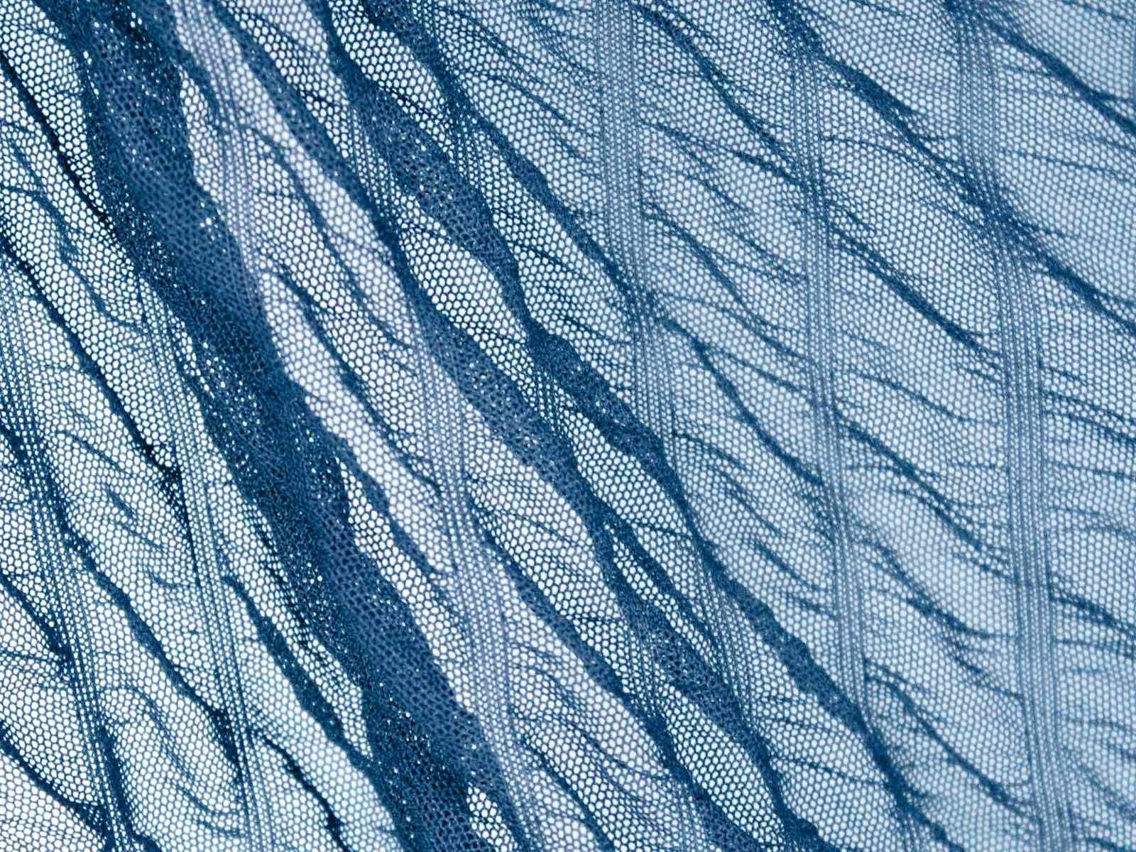 IMAGE_L