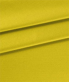 IMAGE_T