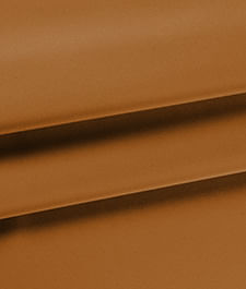 IMAGE_T