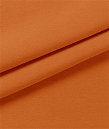 IMAGE_T