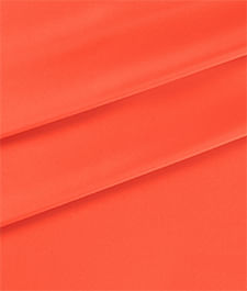 IMAGE_T