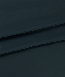 IMAGE_T