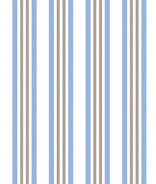IMAGE_T