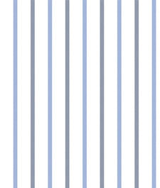 IMAGE_T