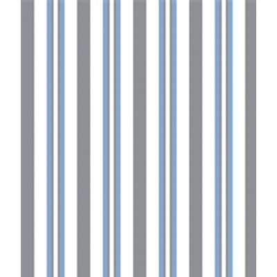 IMAGE_T