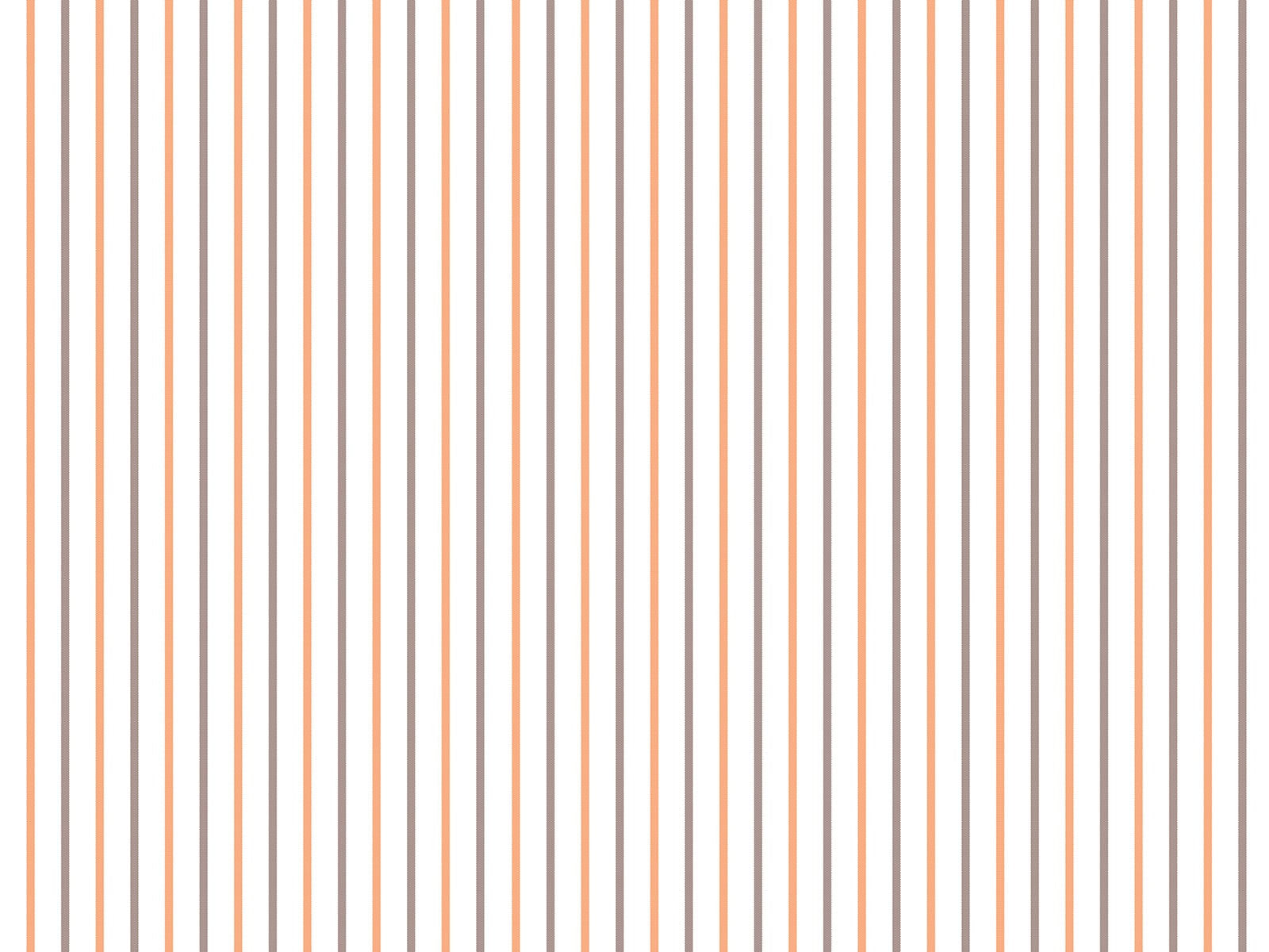 IMAGE_L