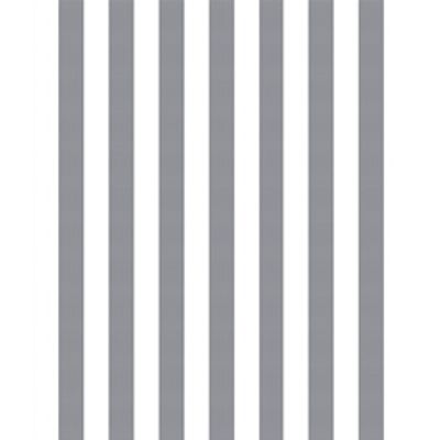 IMAGE_T