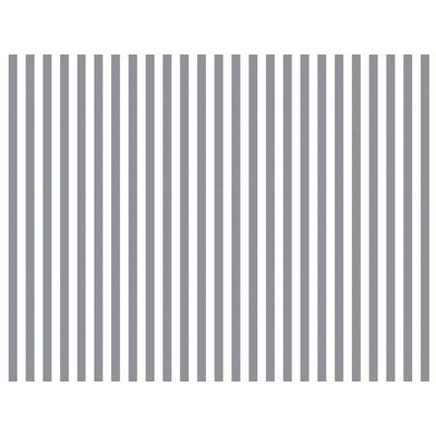 IMAGE_L
