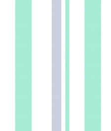 IMAGE_T