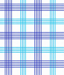 IMAGE_T