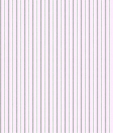 IMAGE_T