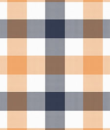 IMAGE_T