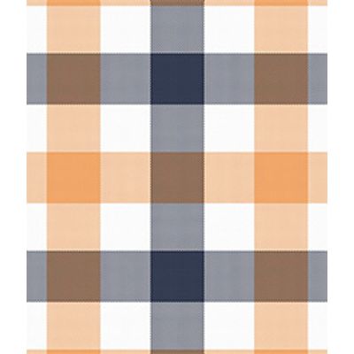 IMAGE_T