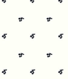 IMAGE_T