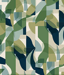 IMAGE_T