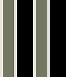 IMAGE_T