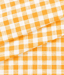 IMAGE_T