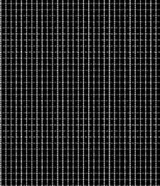 IMAGE_T
