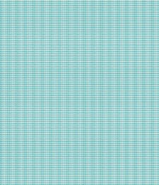 IMAGE_T