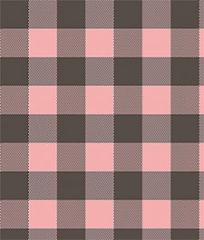 IMAGE_T