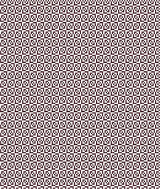 IMAGE_T