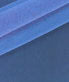 IMAGE_T