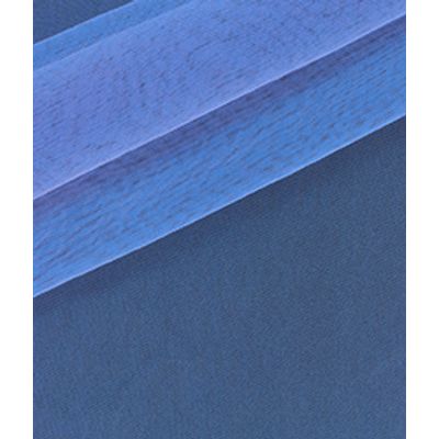 IMAGE_T