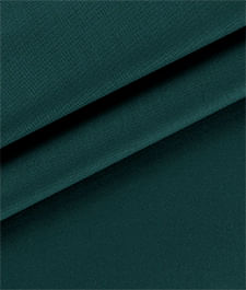 IMAGE_T