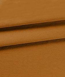 IMAGE_T