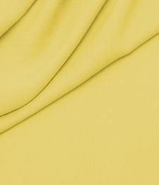 IMAGE_T