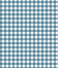 IMAGE_T