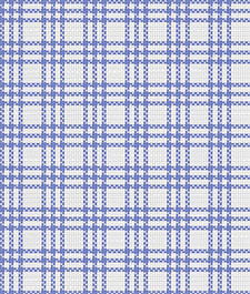 IMAGE_T