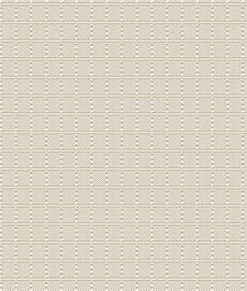 IMAGE_T