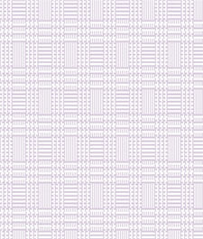 IMAGE_T