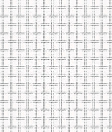 IMAGE_T