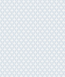 IMAGE_T