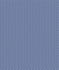 IMAGE_T