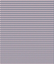 IMAGE_T