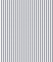 IMAGE_T
