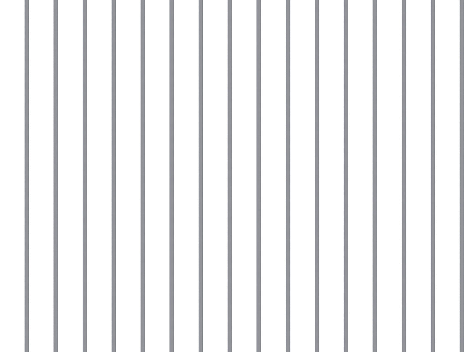 IMAGE_L