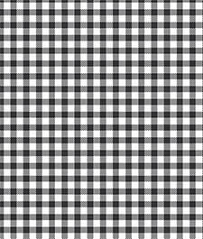 IMAGE_T