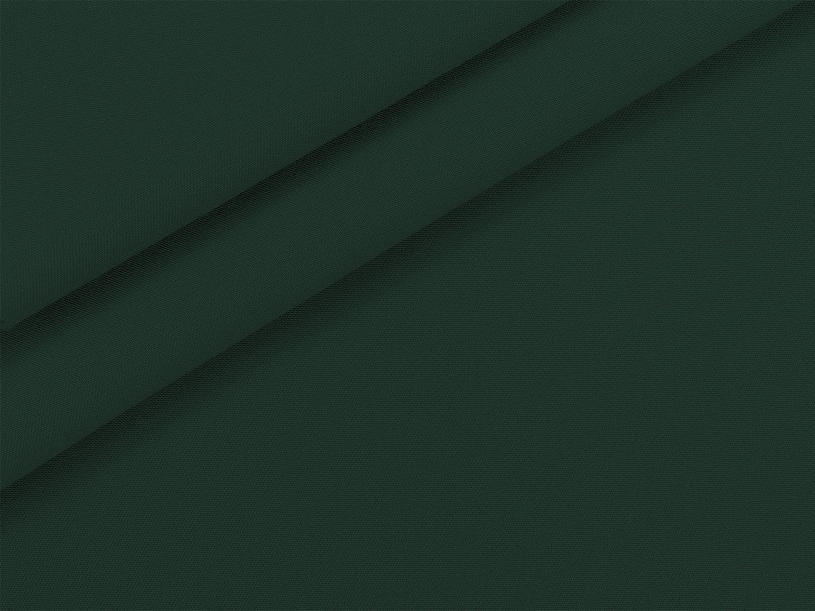 IMAGE_L