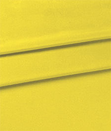 IMAGE_T